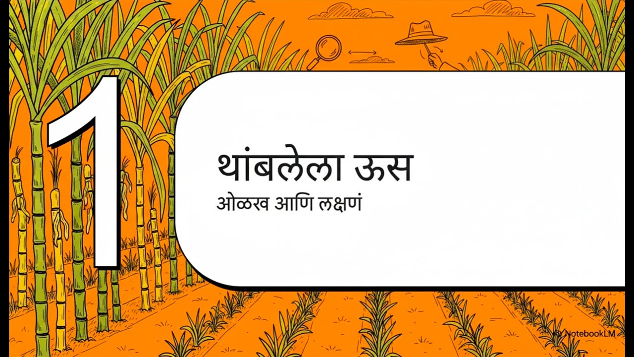 ऊस जिवंत असूनही वाढ थांबलेली अवस्था – 7 कारणं आणि 5 अचूक उपाय