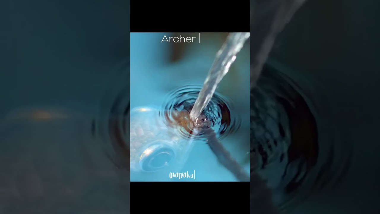 Toxotes Chatareus(The archer fish)#predator #seaworld #wildlife