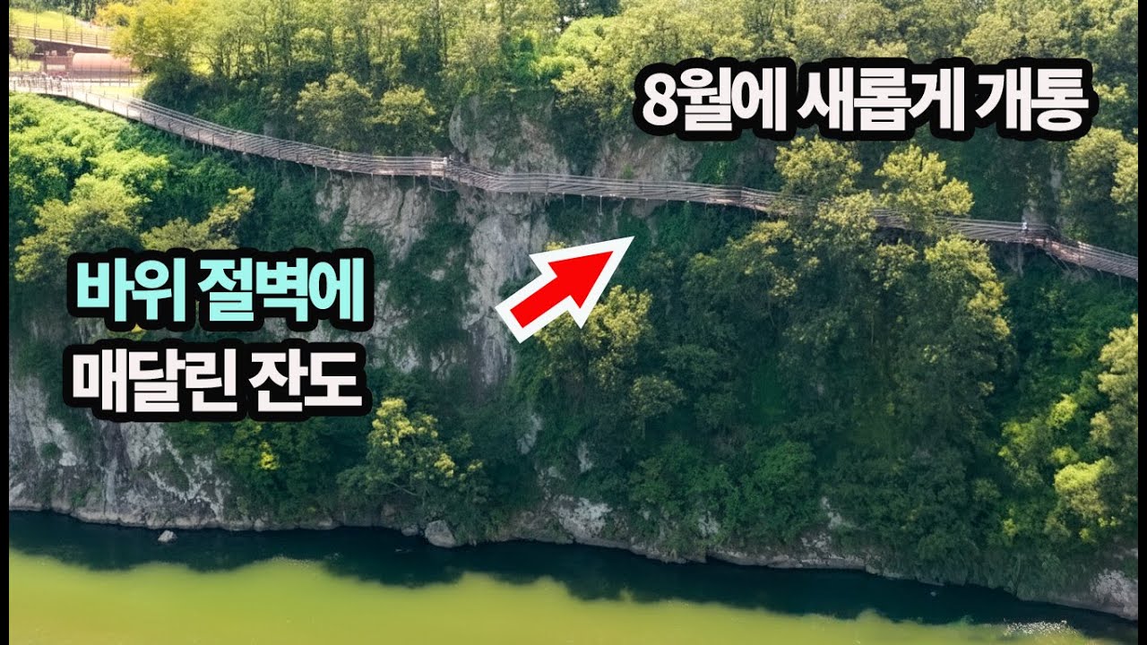 바위 절벽에 아슬아슬하게 놓인 잔도! 8월 개통! 탁트인 전망대! 460년 은행나무!