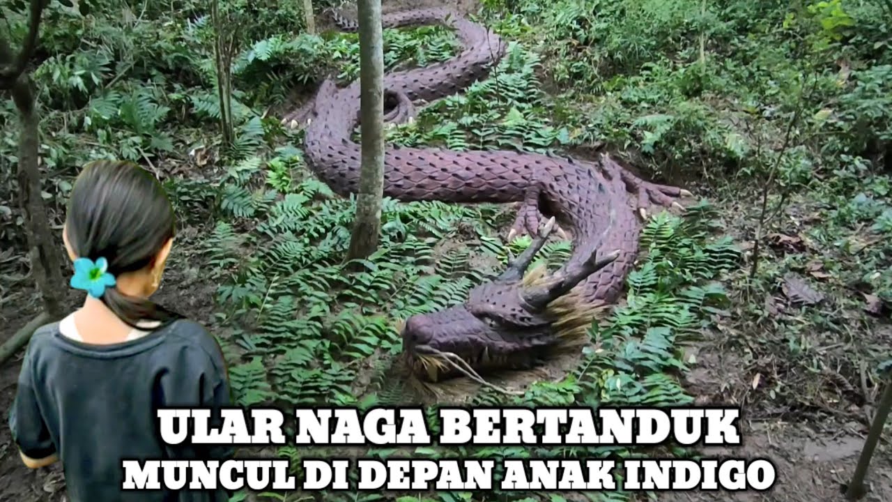 Ngeri !! Ular Naga Bertanduk Muncul Dihadapan Anak Indigo Diperkampungan Gaib