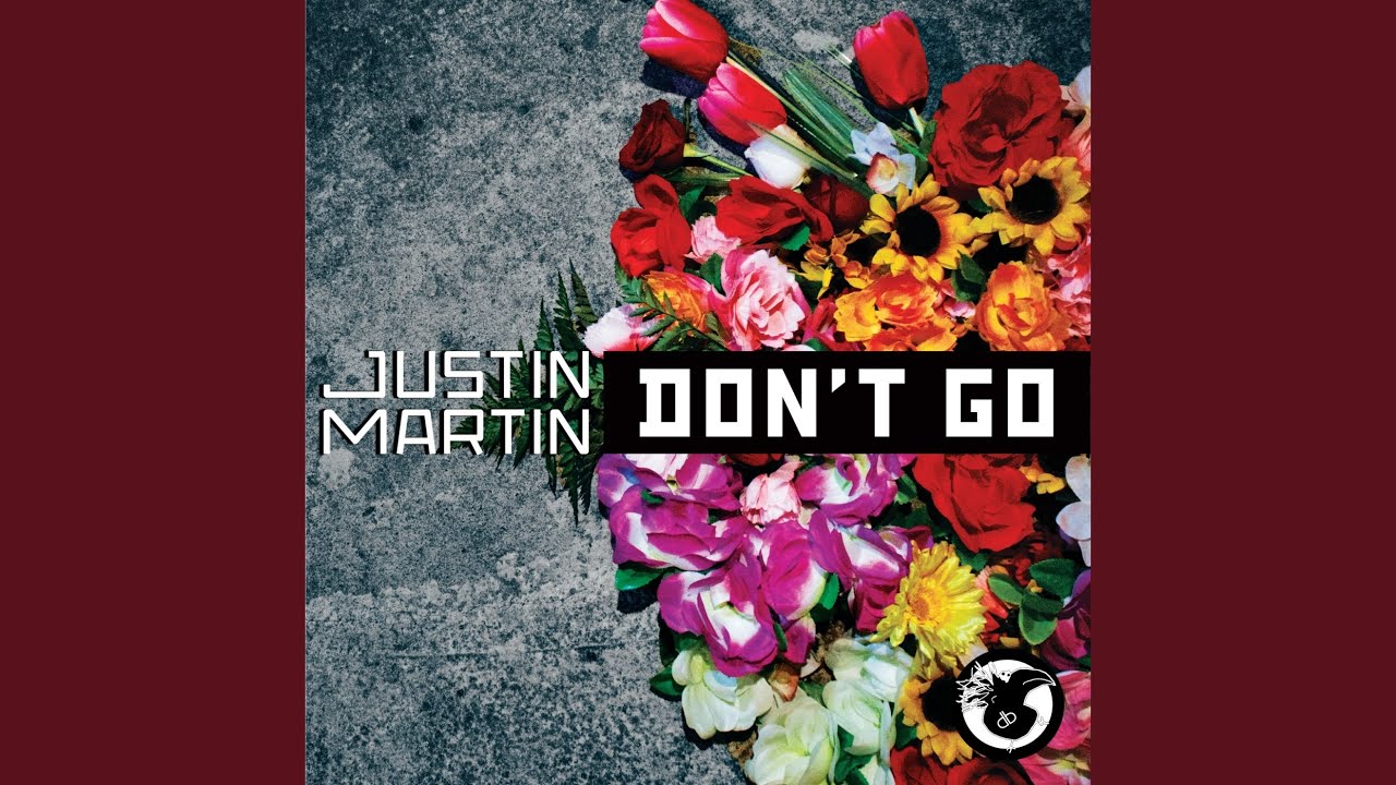 Don't Go (DJ Version)