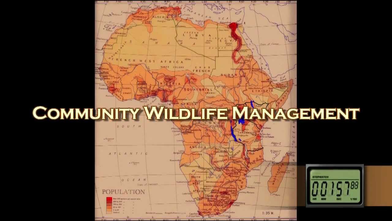 Kenya Wildlife Conservation in 2 Minutes
