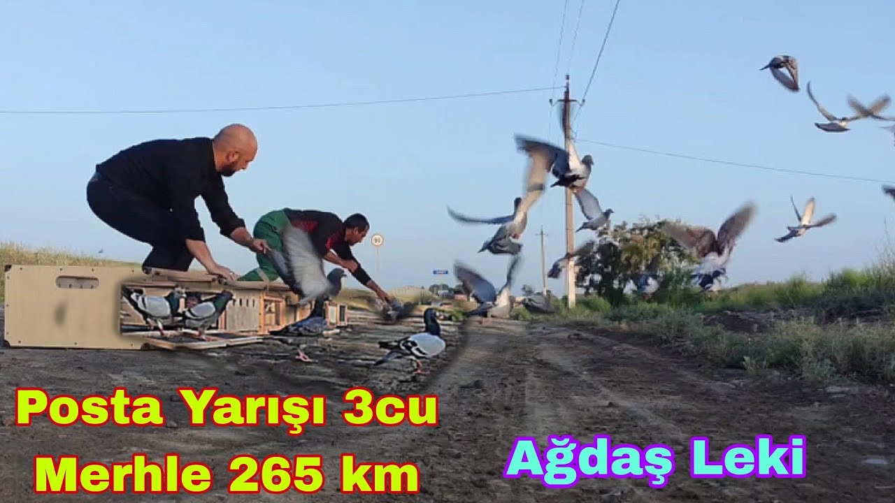 Posta Yarışı 3cü Merhele 265km Ağdaş Ləki.