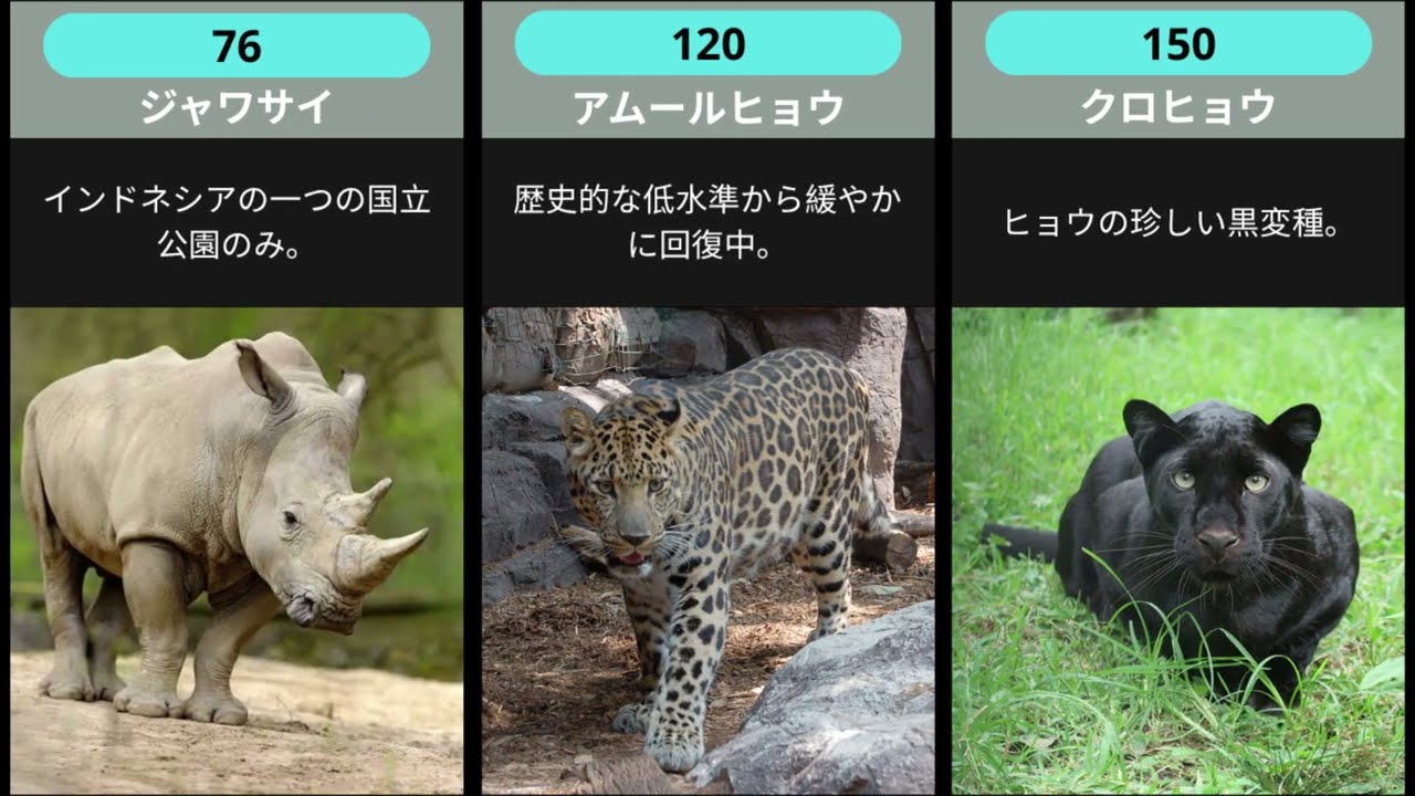 【人間はどこにいる？】動物・昆虫・細菌… 地球上の全生命「個体数ランキング」