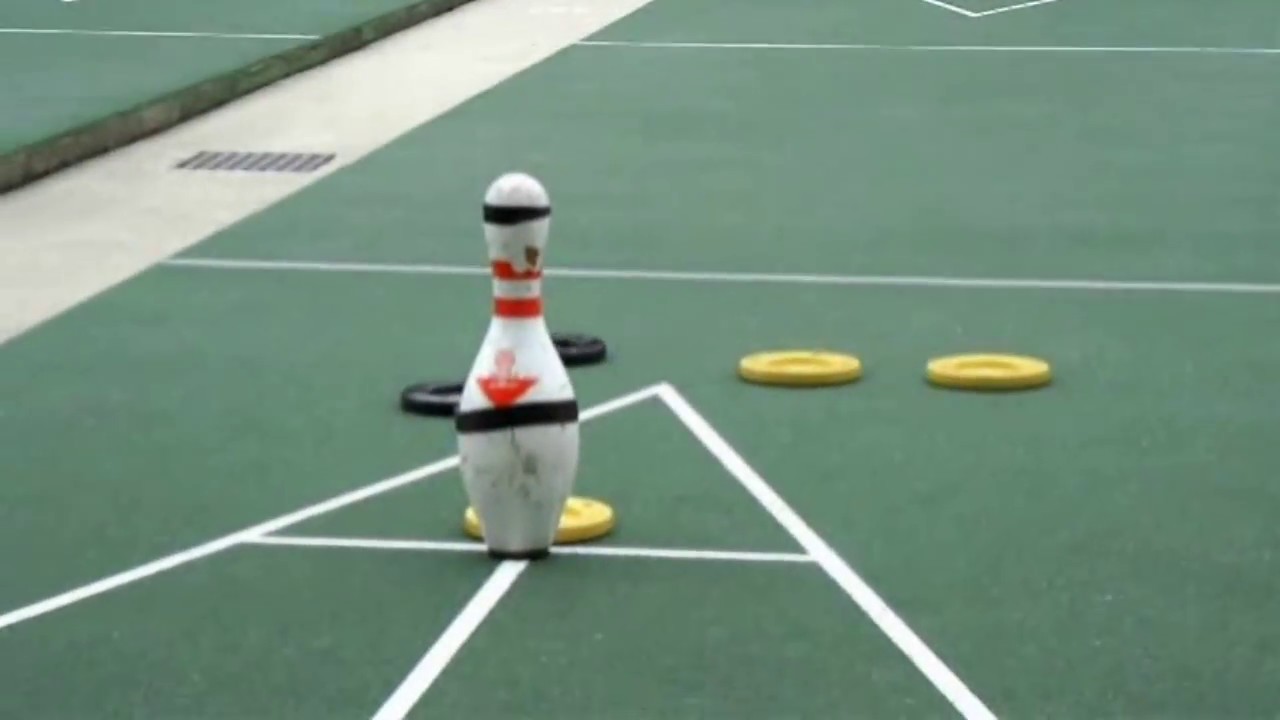 Pinshuffle, a game of shuffleboard