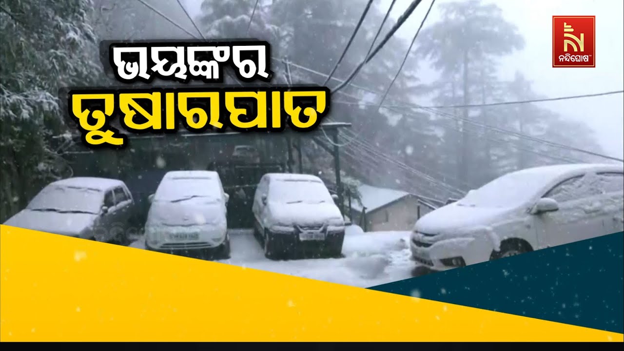 🔴Live | ଭୟଙ୍କର ତୁଷାରପାତ