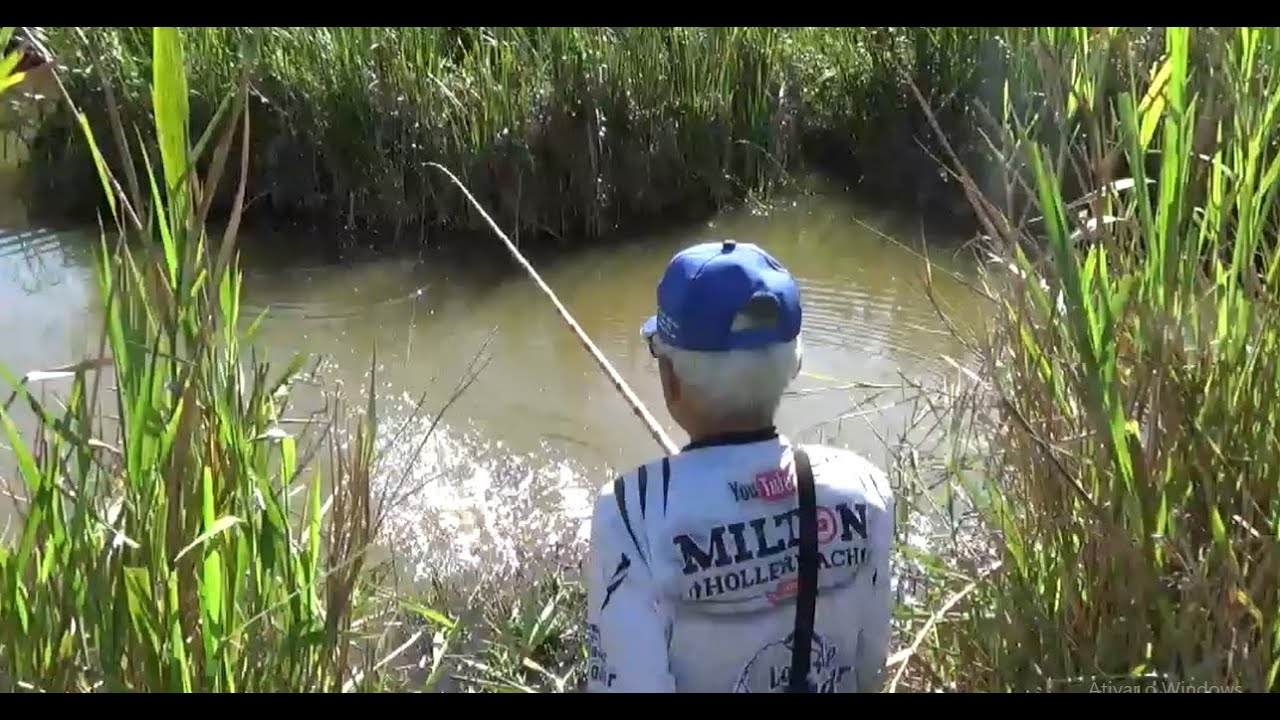 Achamos o ninho das traíras no meio do taboal, Pescaria caipira