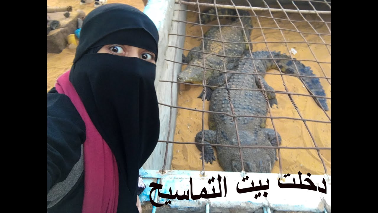 دخلت بيت التماسيح  واترعبت فى اسوان غرب سهيل 😮😲🐊