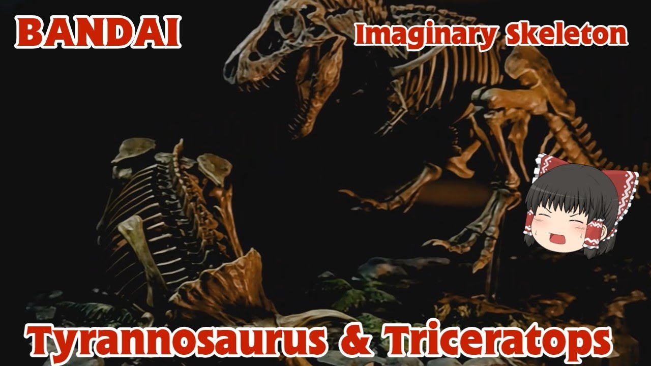 【ゆっくり工作】Imaginary Skeleton ティラノサウルス＆トリケラトプス 1/32 プラモデル