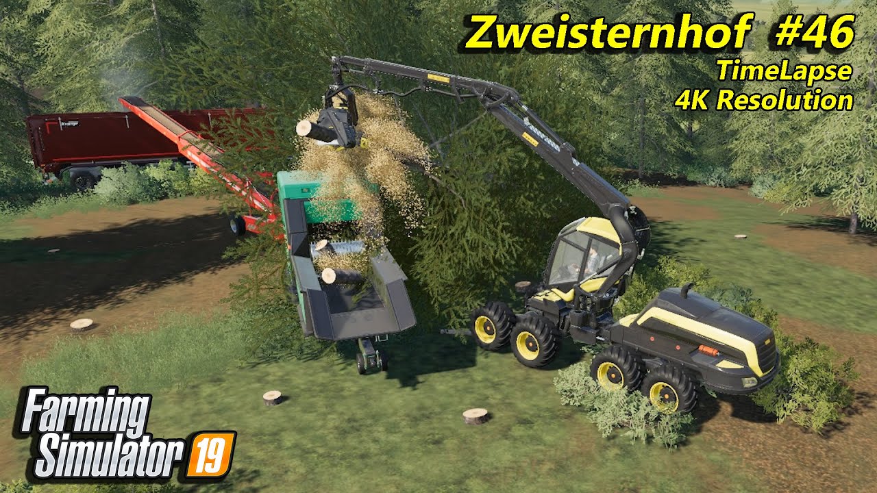 Making and selling wood chips. Selling timber | FS 19 | Zweisternhof #46 | 4K(UltraHD)