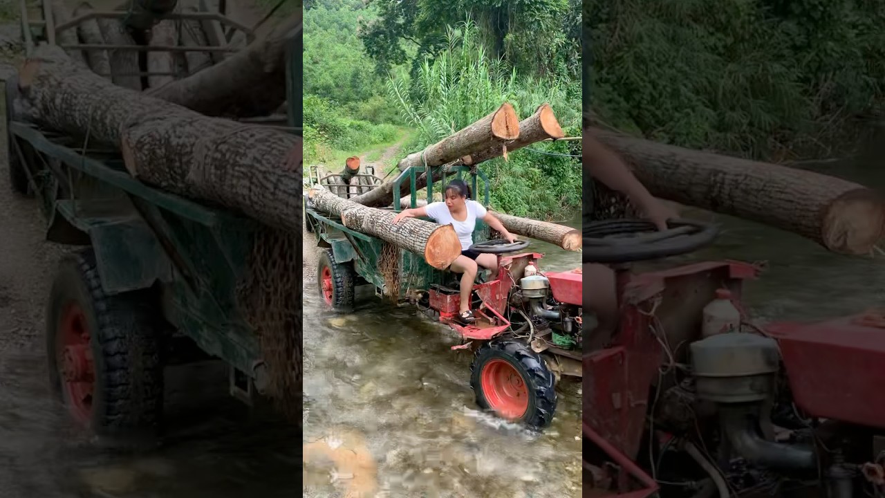 agricultural vehicle transporting wood