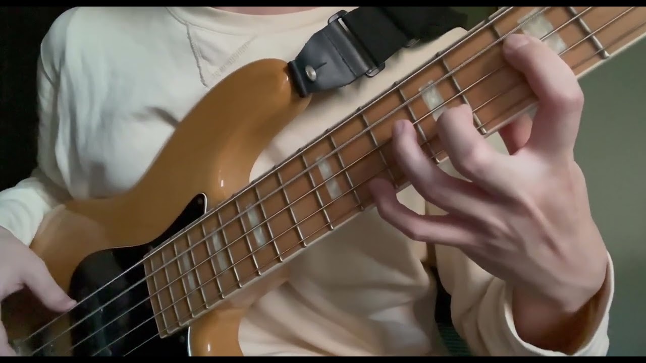 Havona - Weather Report (Jaco Pastorius Solo)