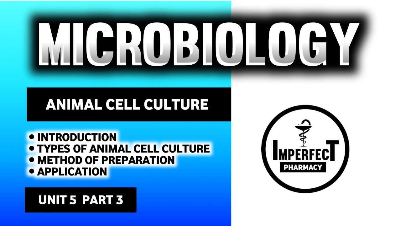 Animal Cell Culture | Types Of Animal Cell Culture | Microbiology | B Pharm 3rd Semester