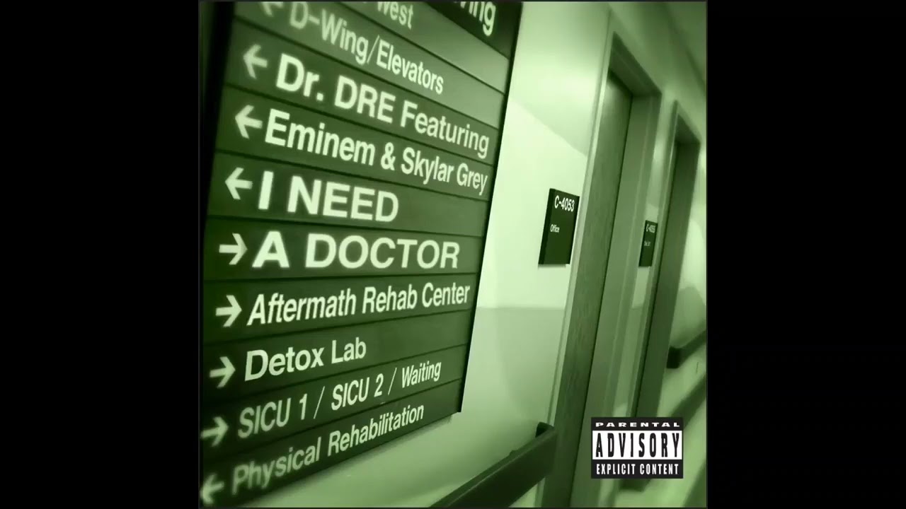 Skylar Grey - I Need A Doctor (Solo)