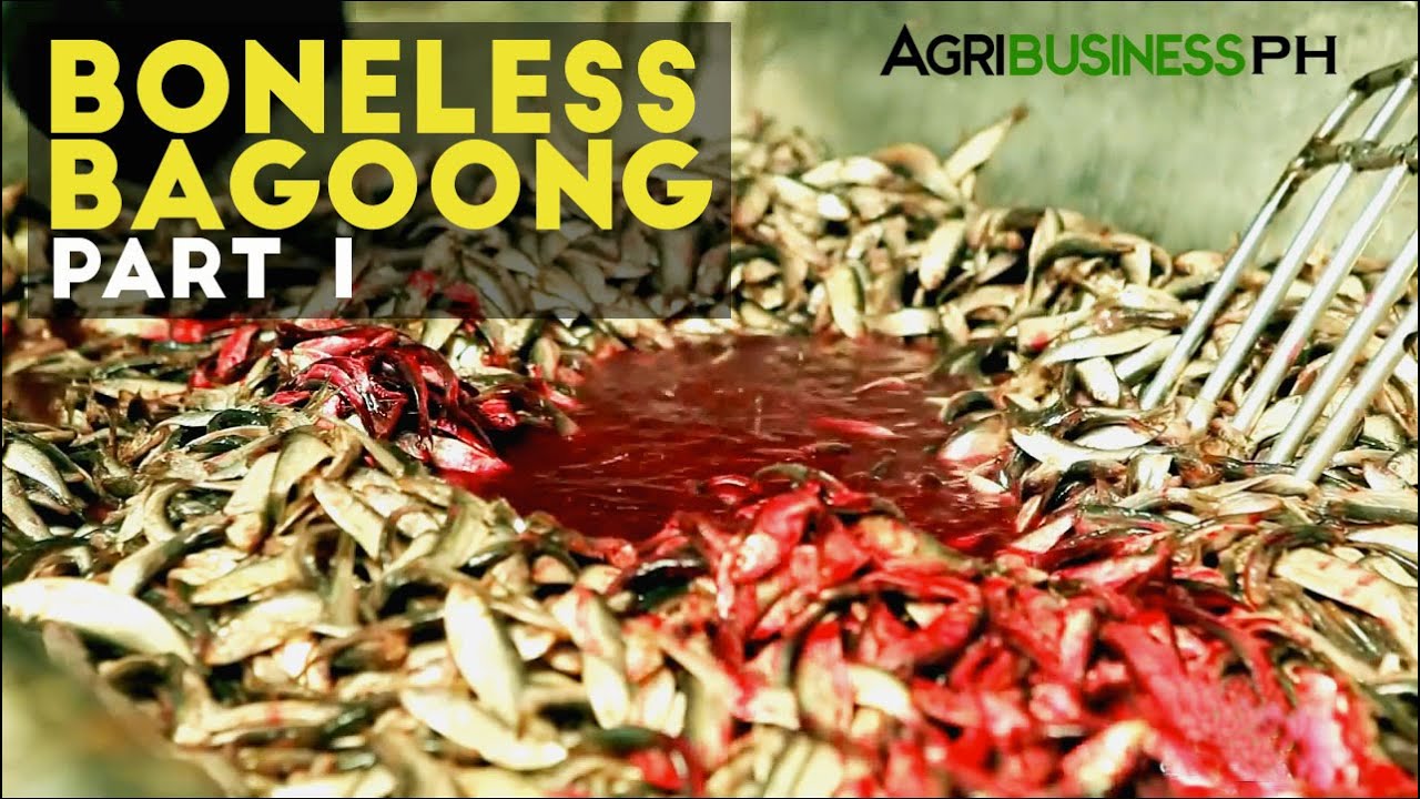 Boneless Bagoong Part 1 : Bagoong Industry in the Philippines | Agribusiness Philippines