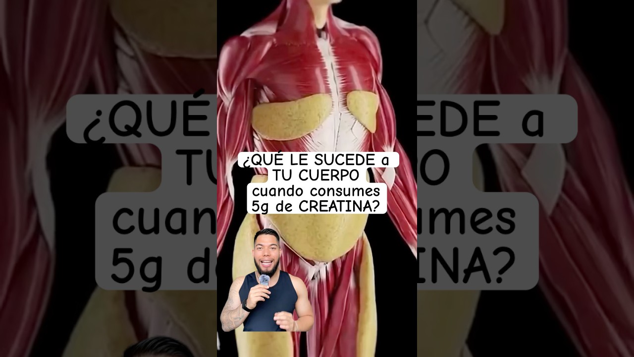 &iquest;QU&Eacute; LE SUCEDE a TU CUERPO cuando consumes 5g de CREATINA?