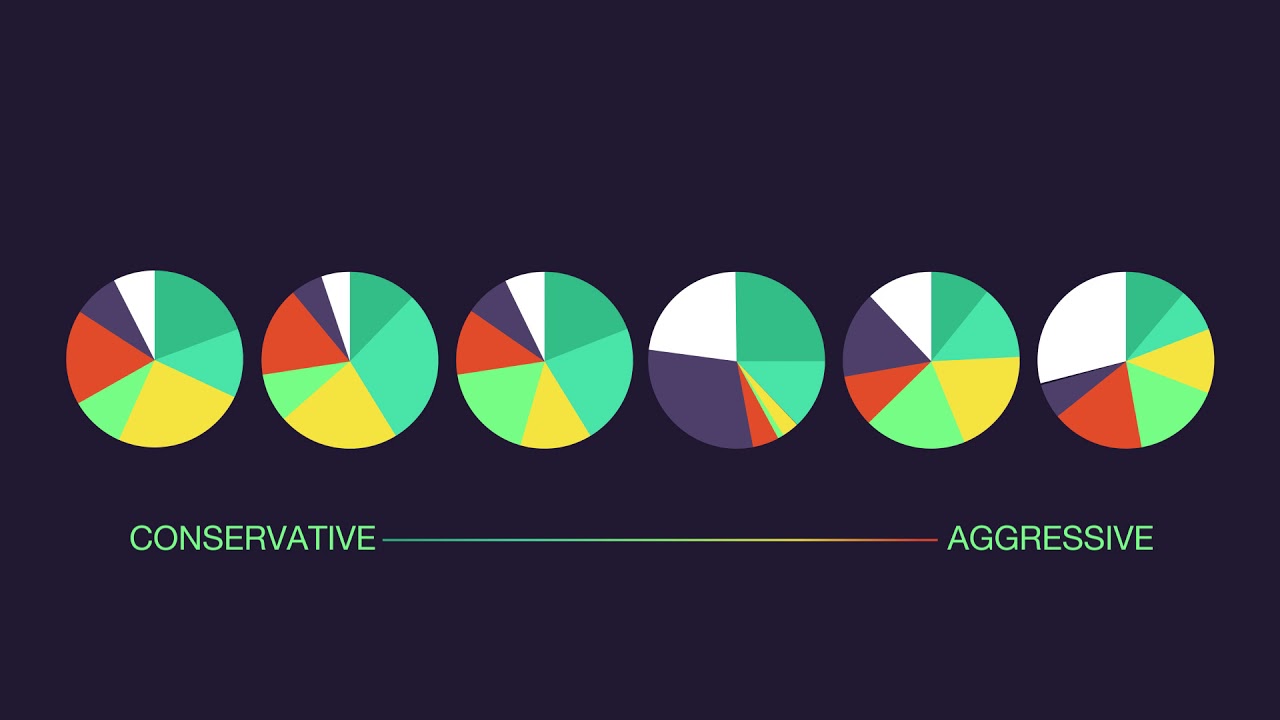 Raiz - Our Portfolios