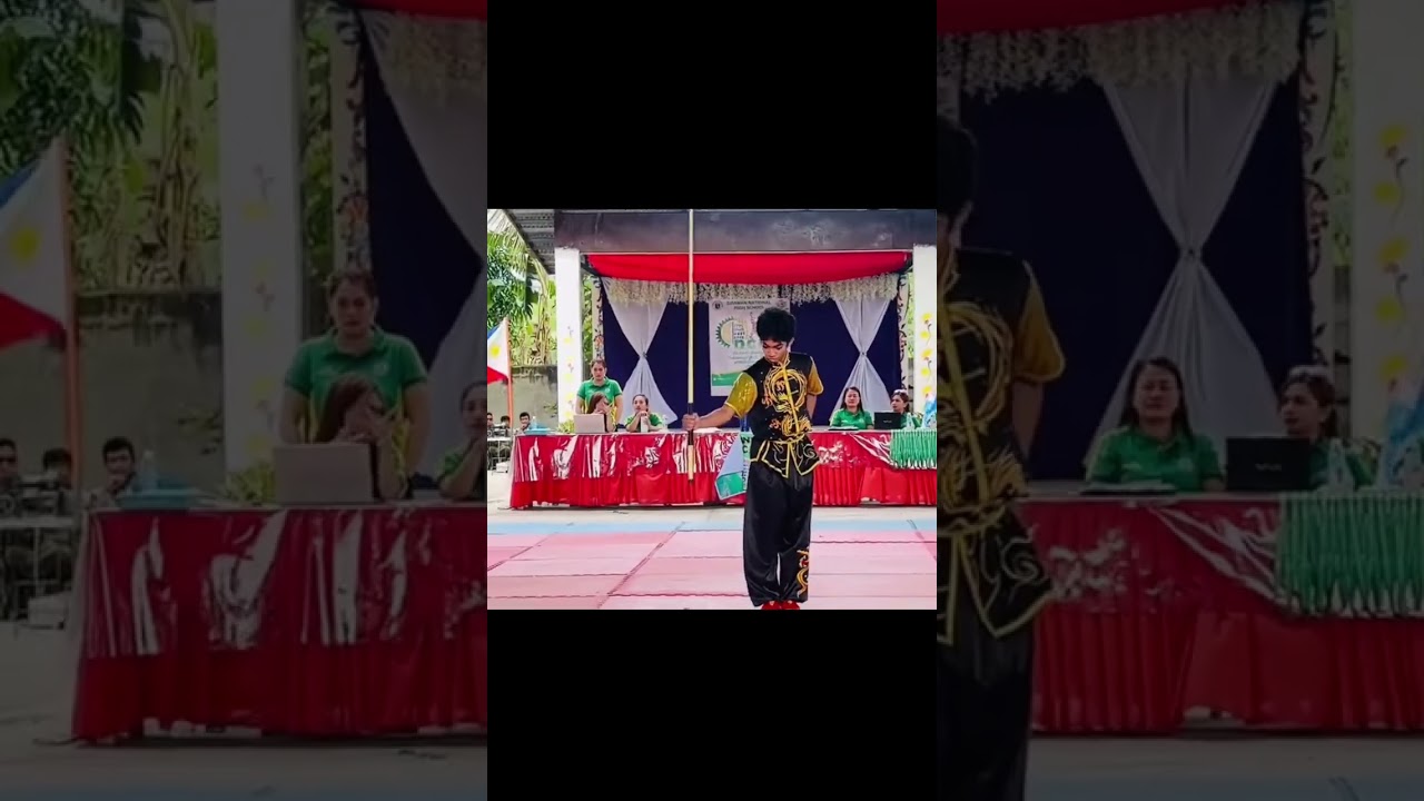 Wushu Taolu