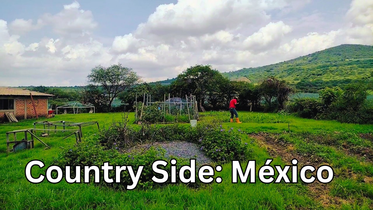 Один день сельской жизни | Глубинка Мексики