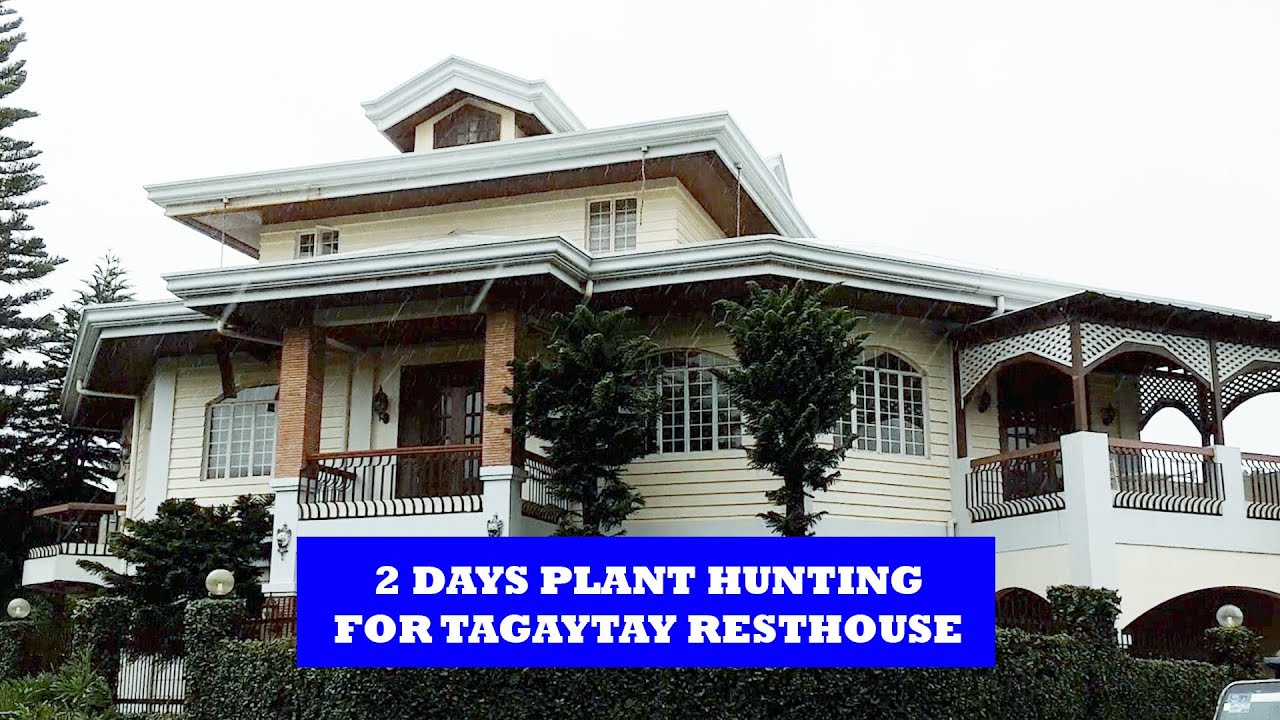 Two Days Plant Hunting For Tagaytay Rest House