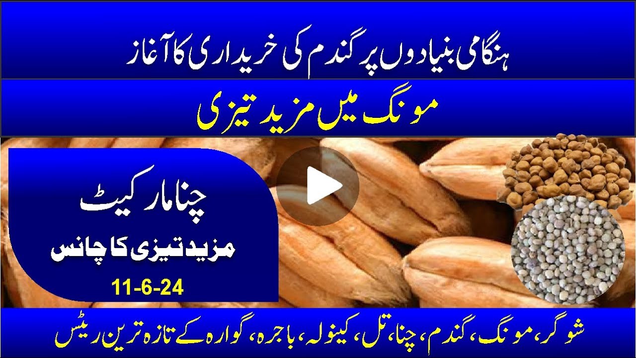 Wheat Today | chana price | Guara update | Suger Price | Moong Demand | Bashir Sandhila