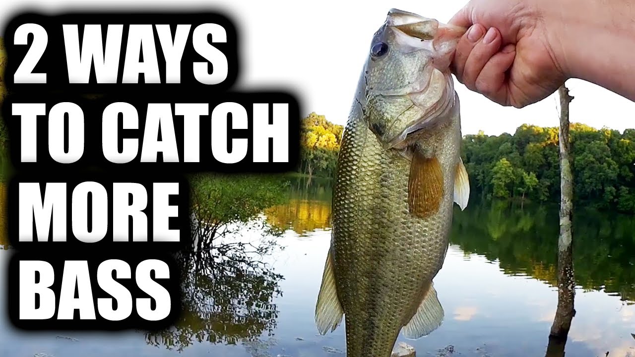 How To Catch MORE BASS on ONE LURE! Two Ways To Catch More Bass