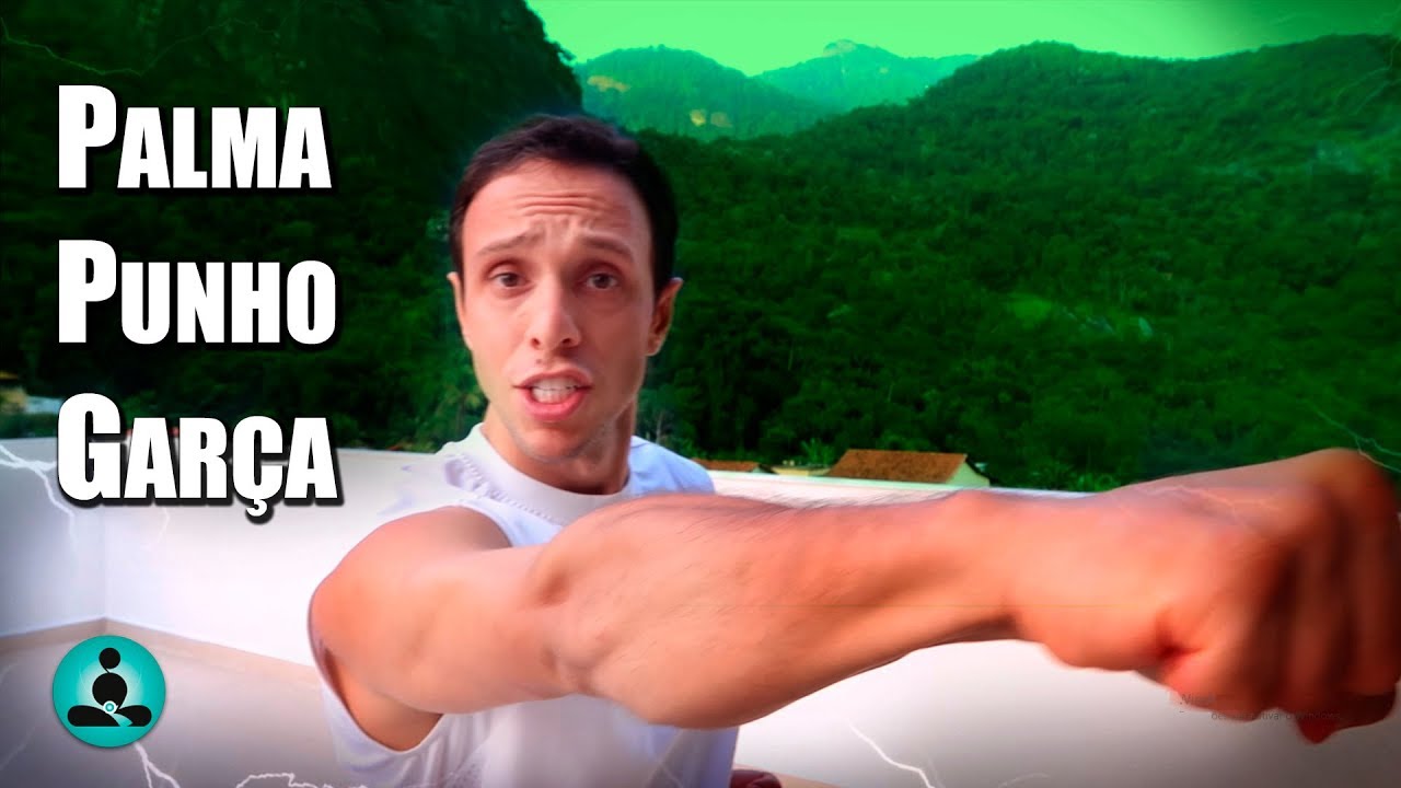 PRINCIPAIS POSTURA DE MÃOS NO TAOLU(FORMA) | ZHANG | QUAN | GOU