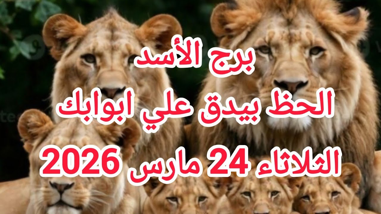 برج الأسد الحظ بيدق علي ابوابك توقعات يوم الثلاثاء 24 مارس 2026