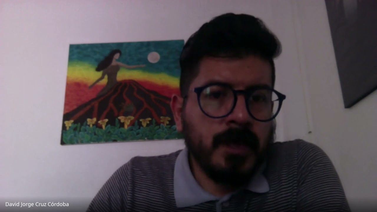 Consulta de la ENOE - INEGI