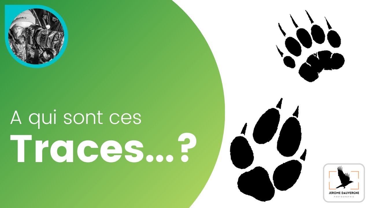A qui sont ces traces...?