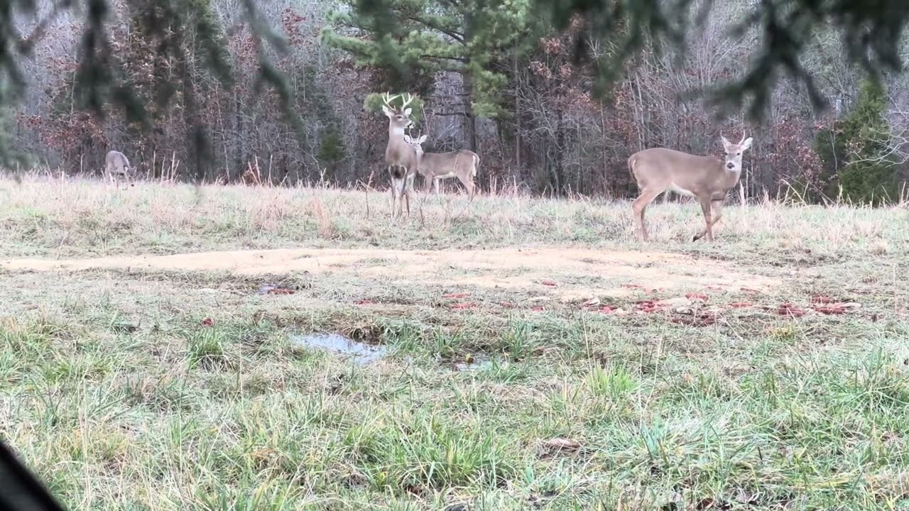 WAO  24 KY BOW SEASON 2 SITS FROM FEAST TO FAMINE 