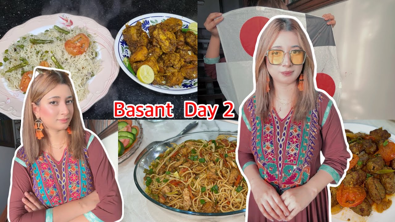 BASANT DAY 2 | patang urani nhi ati 😭 |childhood memories | guest coming 