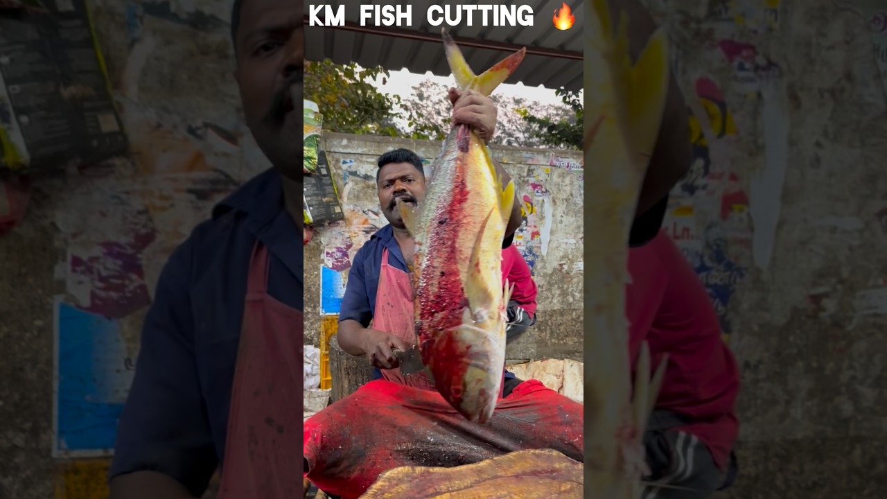 KASIMEDU 🔥 SPEED SELVAM FISH CUTTING VIDEO #kasimeduselvam #speedselvamcutting #fishcutting #shorts