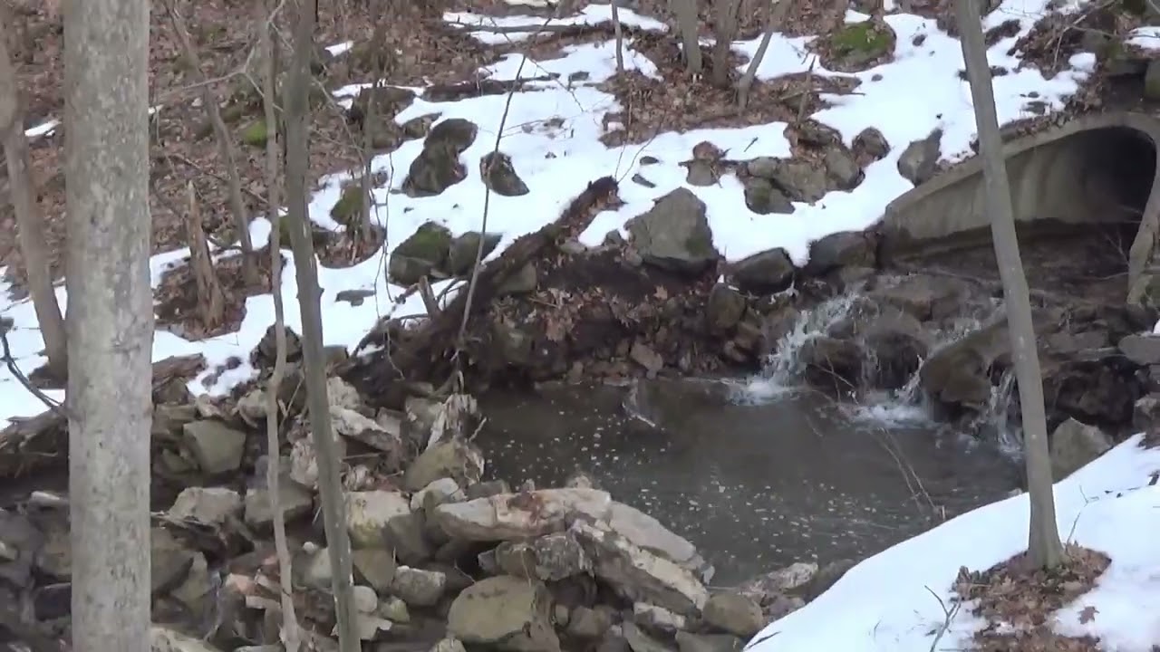 The Canastota and Cazenovia Rail Trail Part 1...1-13-26