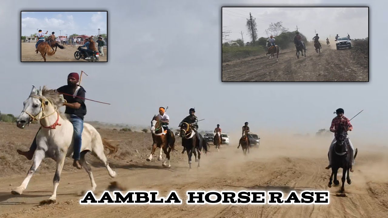 ||shak pir sarkar Urs  mubarak  aambla  || Gujrat king horse ki Race || Roket vs 3333 vs 387 vs 220