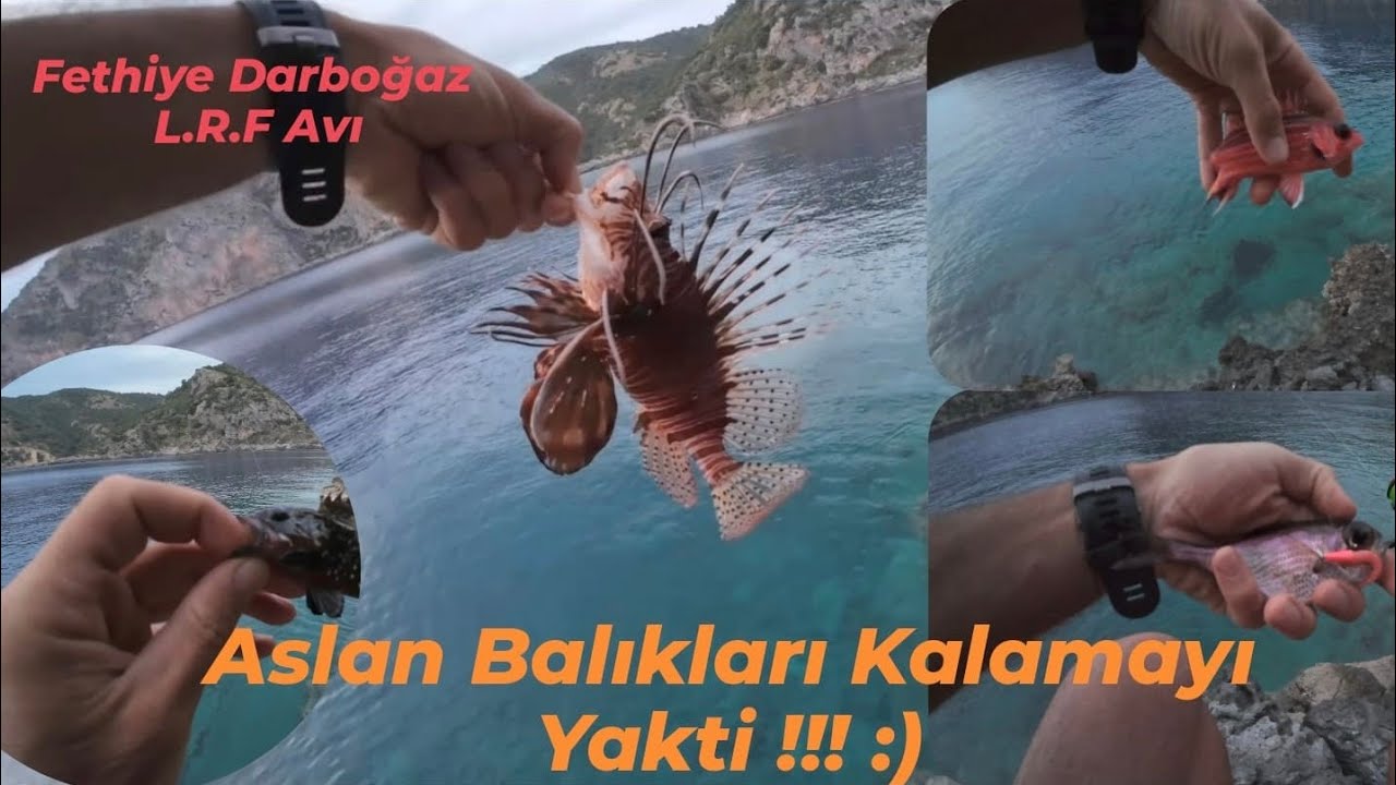 Fethiye Darboğaz LRF Avı ( Silikon Yem ile Aslan Balığı Yakaladım )