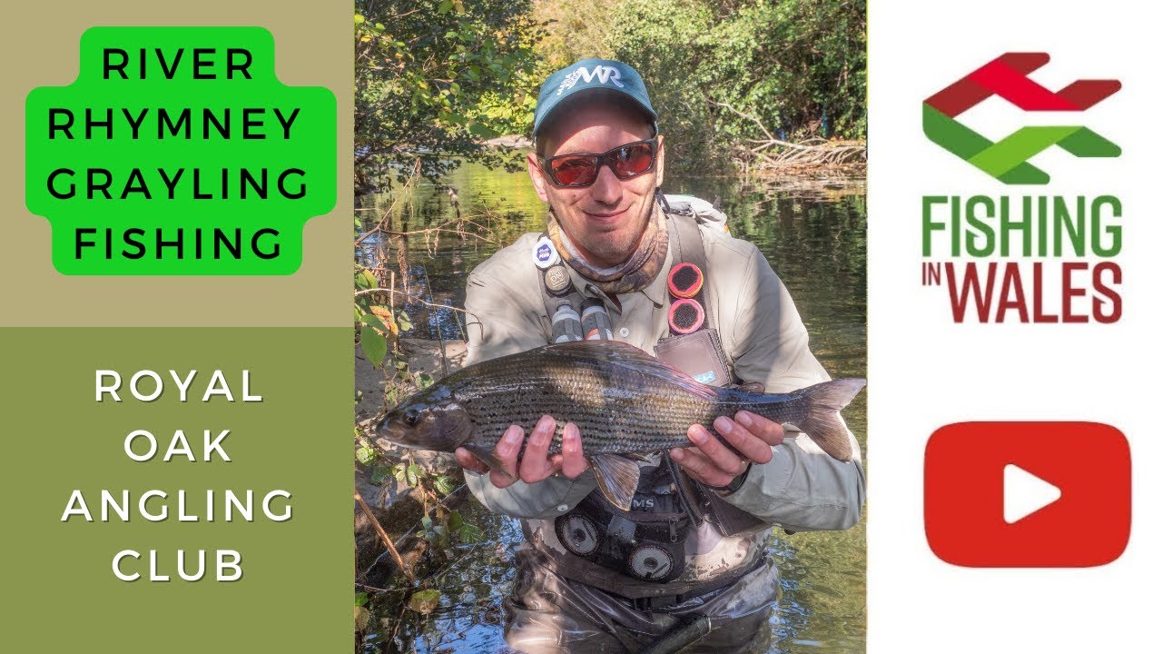 Fishing Clubs of Wales: Royal Oak AC. Grayling in the Valleys - Euro Nymph Fishing the River Rhymney