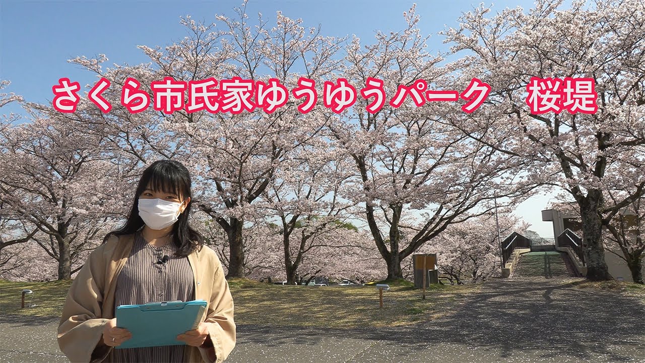 さくら散歩　Vol.4「桜めぐり」（栃木県さくら市）令和3年3月31日