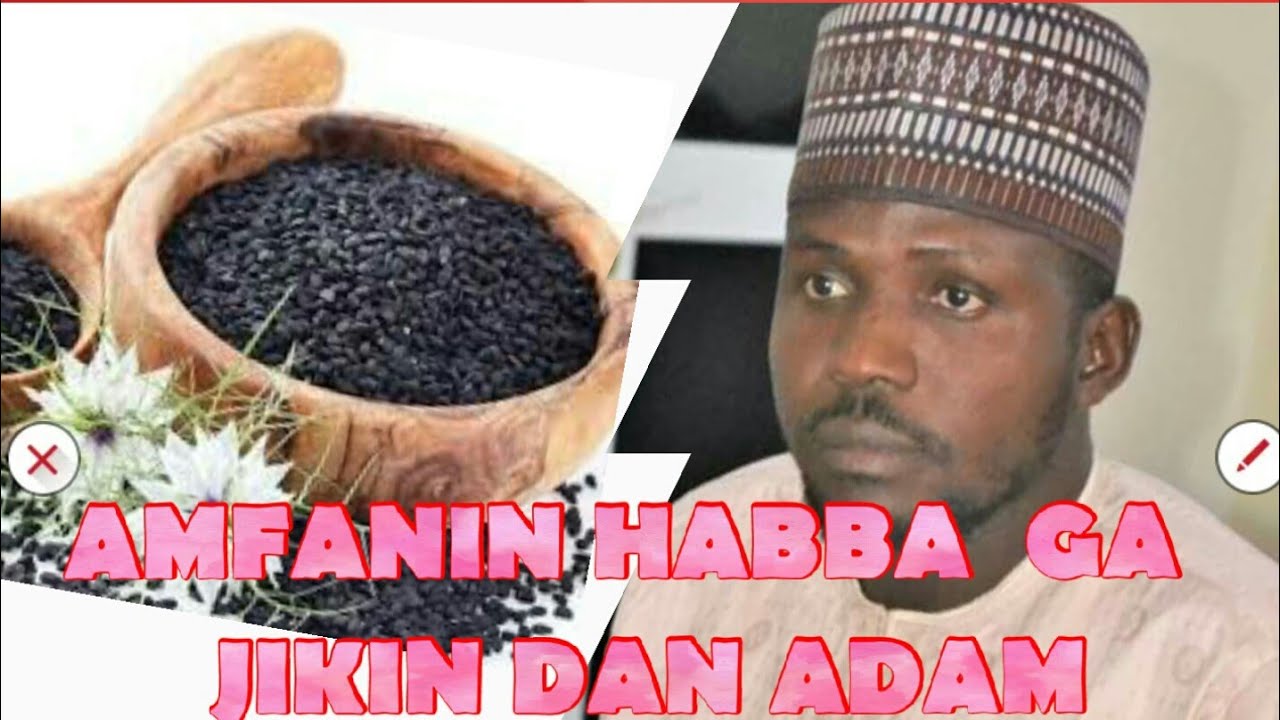 AMFANIN HABBA GA JIKIN DAN ADAM SHEIKH MUHAMMAD BUKAR JALALINI