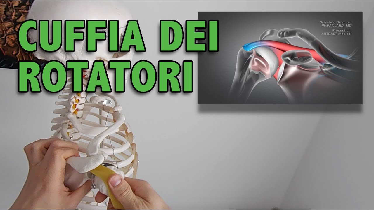 fisioDelladio - fisioKnow - Ricostruzione Cuffia dei rotatori