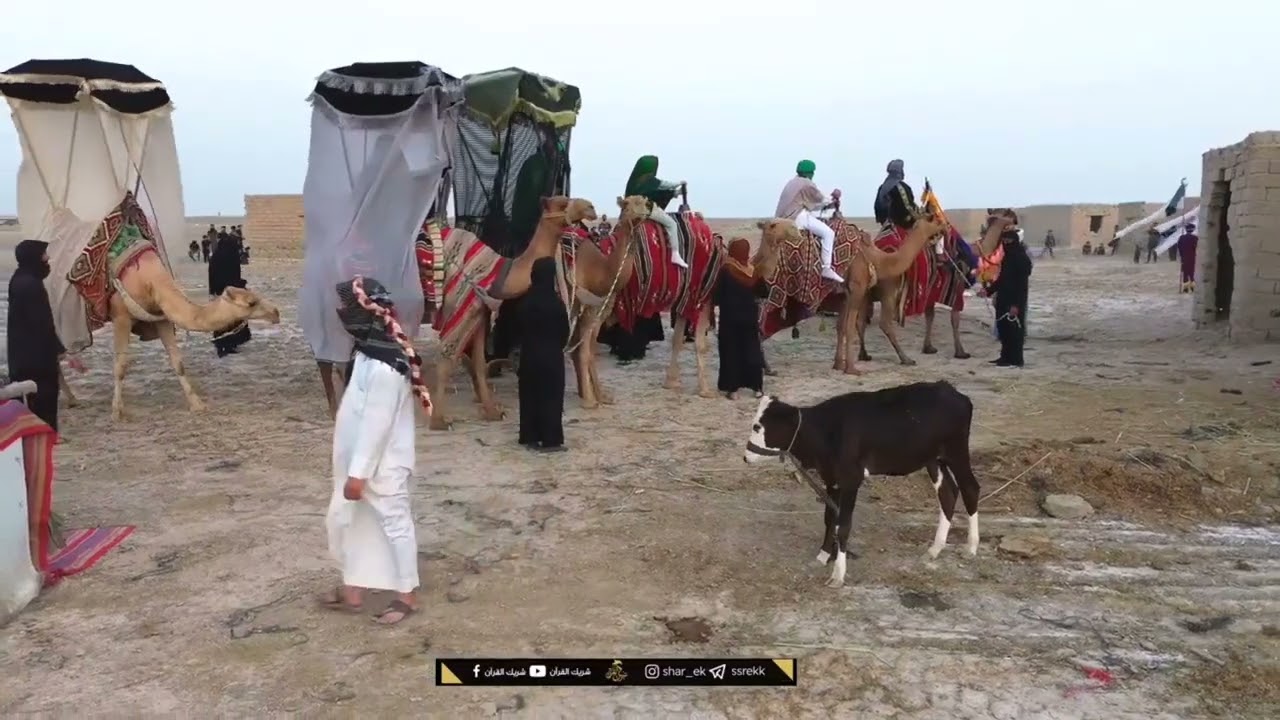 (٢)جانب من تشابيه دخول الكوفة موكب الإمام المهدي المنتظر عجل اللّٰه فرجه سوق الشيوخ ١٢/محرم/١٤٤٥