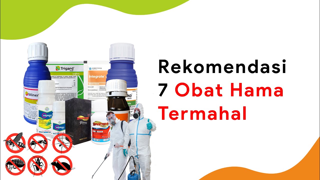7 Obat Hama Termahal, Ampuh di Kantong Ampuh di Hama