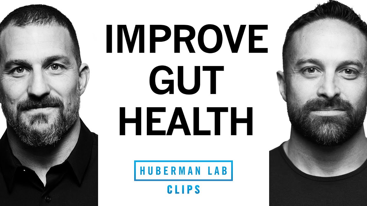 How to Improve Gut Health for Weight Loss | Dr. Layne Norton & Dr. Andrew Huberman