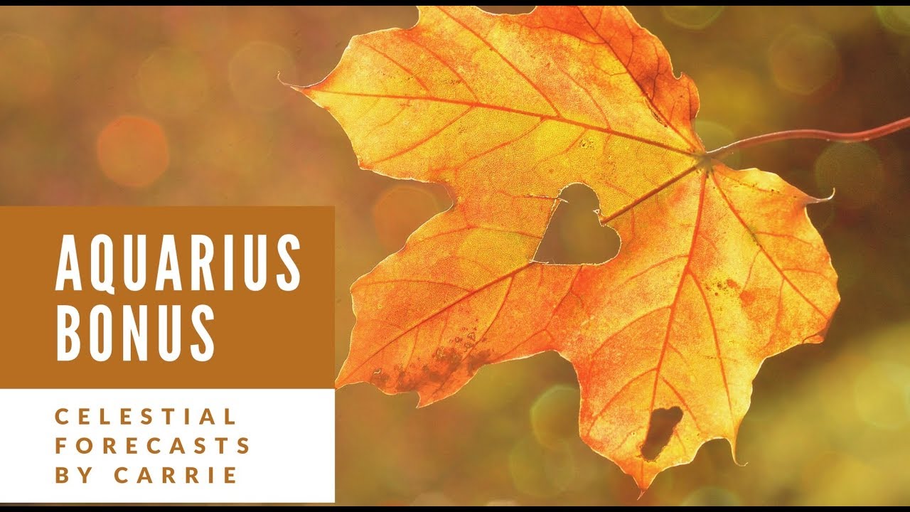 ❤AQUARIUS BONUS!! ❤  SOMEONE FROM THE PAST WANTS YOU BACK!