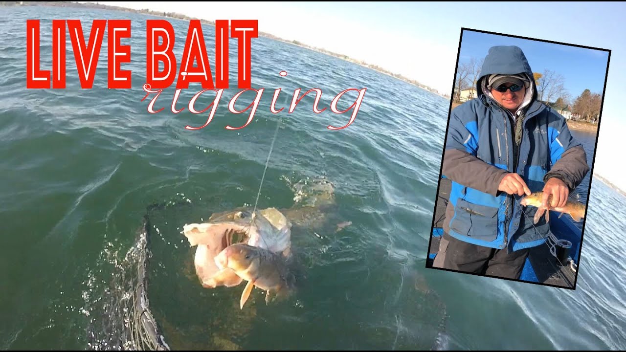 Musky Fishing Tip Live Bait Rigging Sucker Rigging