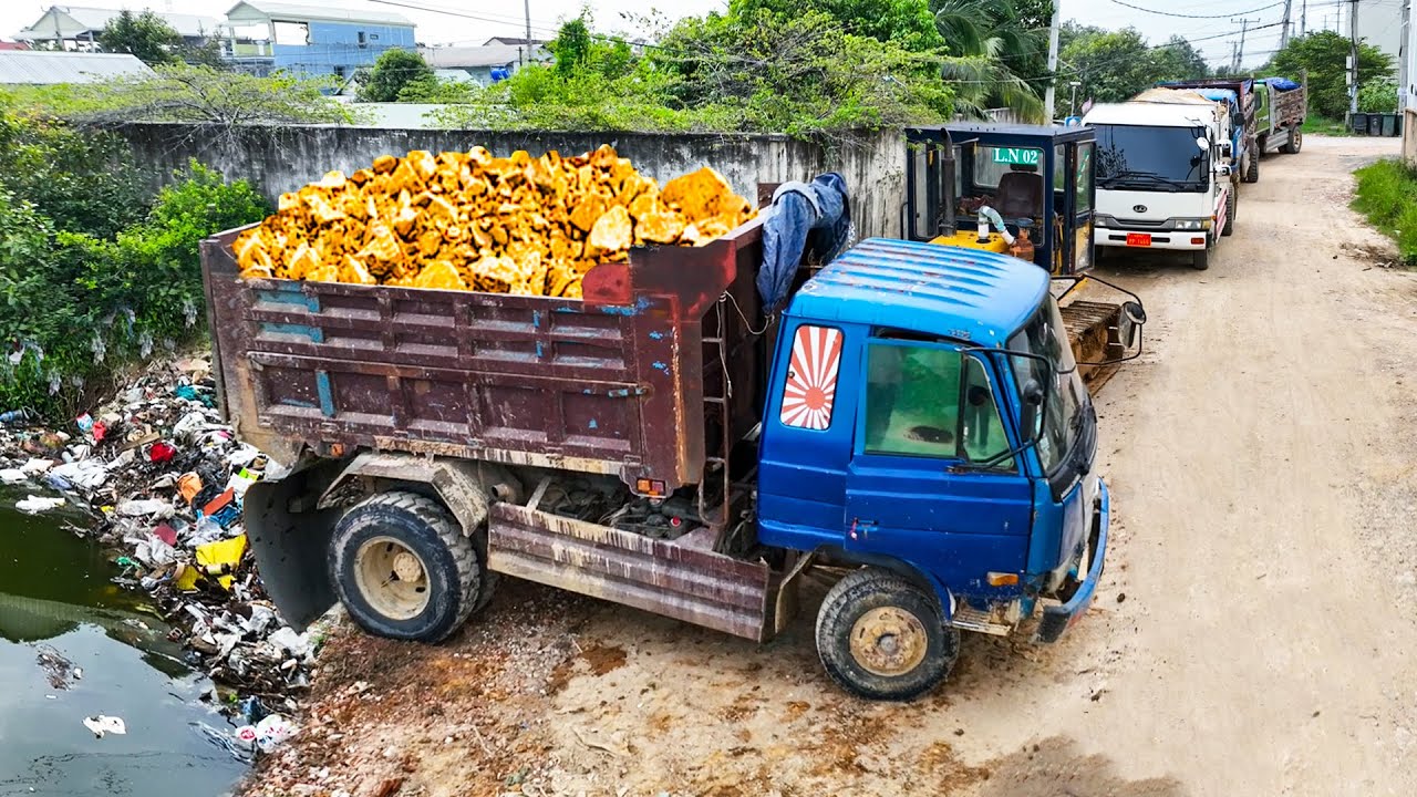 First Start Wonderful Project.! Filling Land Delete Flooded Areas By Skills Dozer Pushing Soil