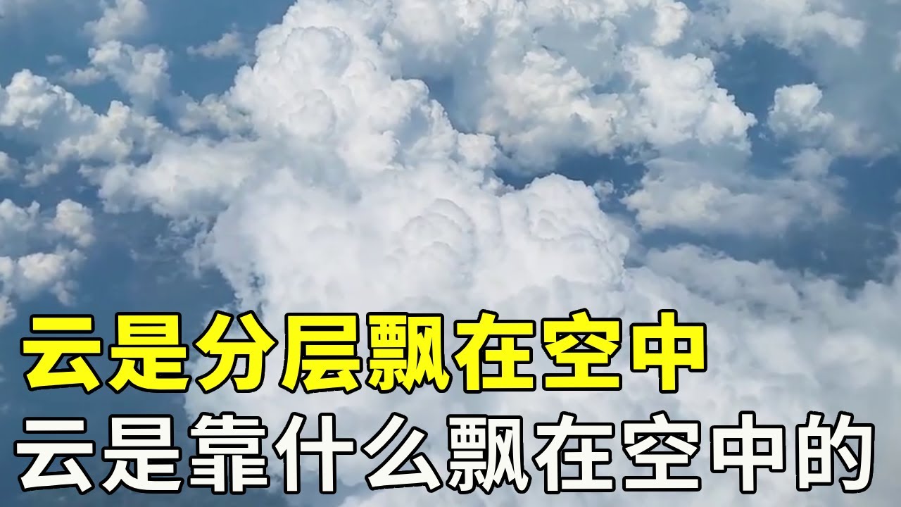 为什么云是分层飘在空中？云彩的形状和高度有啥关系？这下终于懂了#涨知识 #脑洞大开 #百科知识 【科学探照灯er】