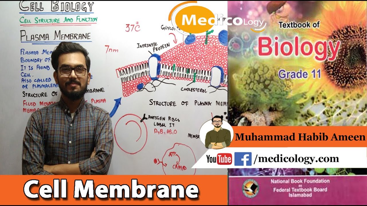 Cell Membrane / Plasma Membrane || Cell Biology || Federal Board Biology XI