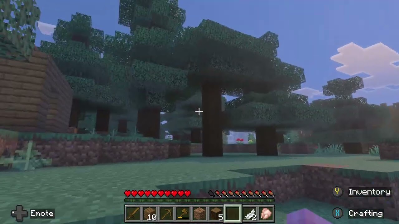 Day 1 of Working on My Minecraft World!