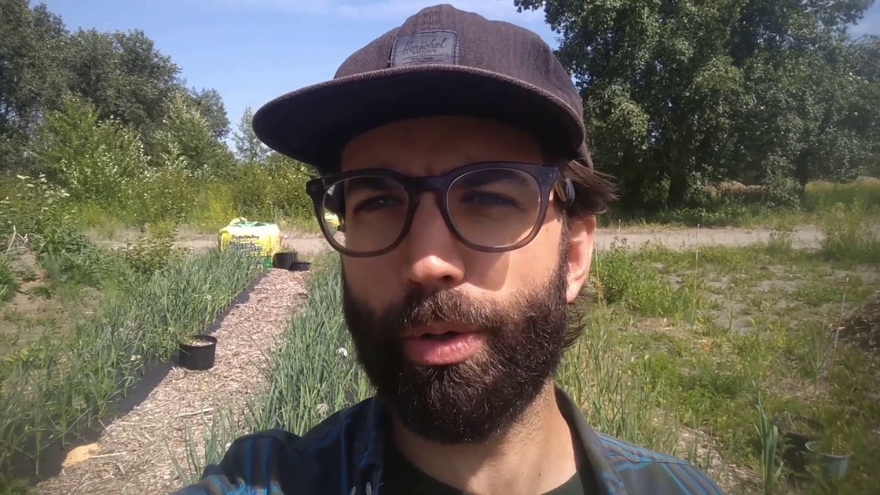 Tour of the Highfield Regenerative Farm in Calgary Alberta